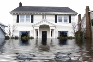 Water Damage Repairs Plymouth